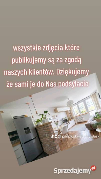 Pluskwa domowa zwalczanie pluskiew odpluskwianie Katowice