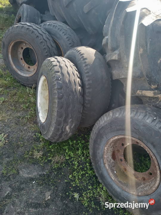 koło opona 10075153 bizon inne 10075153 Bizon Probostwo Górne