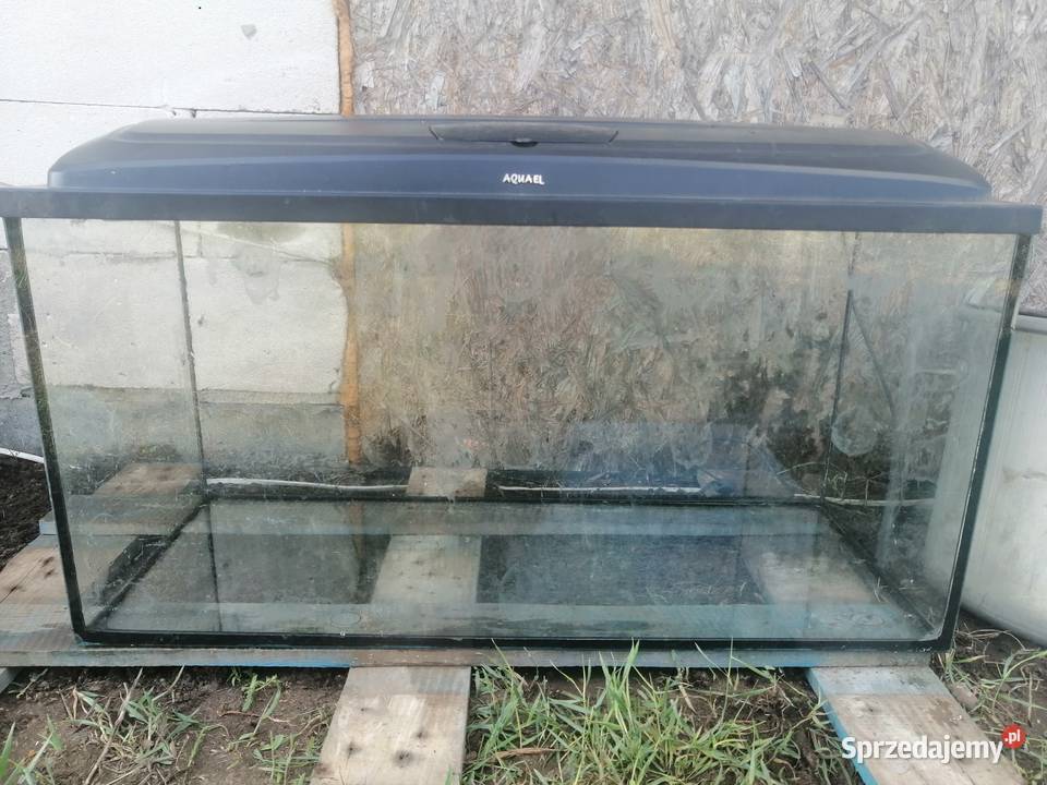 Akwarium z pokrywą Żyrardów