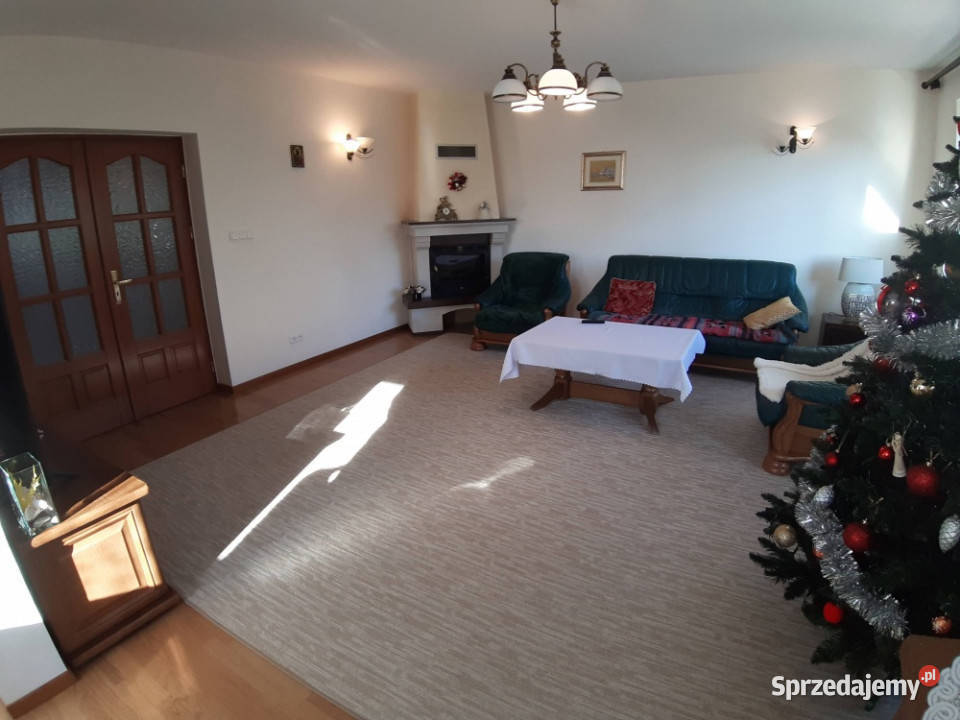 Duży zadbany do wprowadzenia