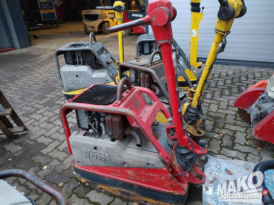 Zagęszczarka Wacker Neuson DPU4545 Amman Bomag Ostrowiec Świętokrzyski