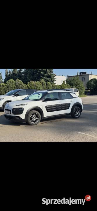 C4 cactus zamiana Poznań
