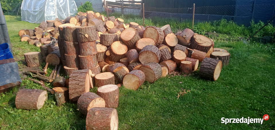 drzewo opałowe Sosna z transportem łódzkie Gidle