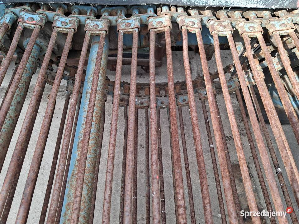 kopaczka elewatorowa Czarnocin