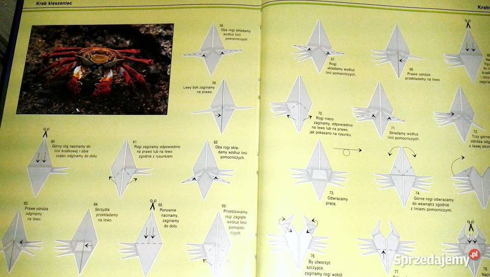 Origami Papierowe zoo Hector Rojas F Chełm