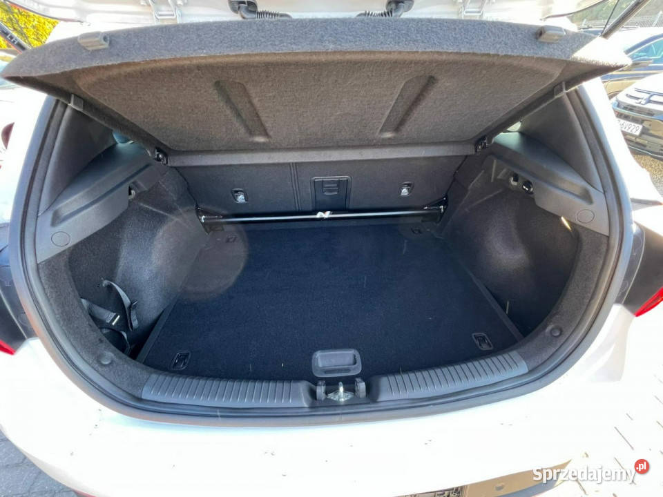Hyundai i30N 280 Performance Sport Pakiet Kamera regulowane zawieszenie wielkopolskie sprzedam
