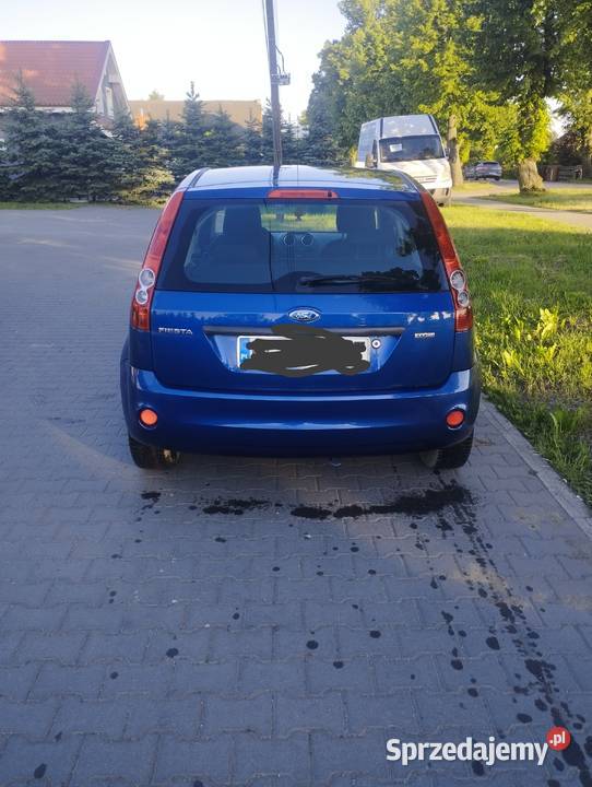 Ford Fiesta Fiesta wielkopolskie Leszno
