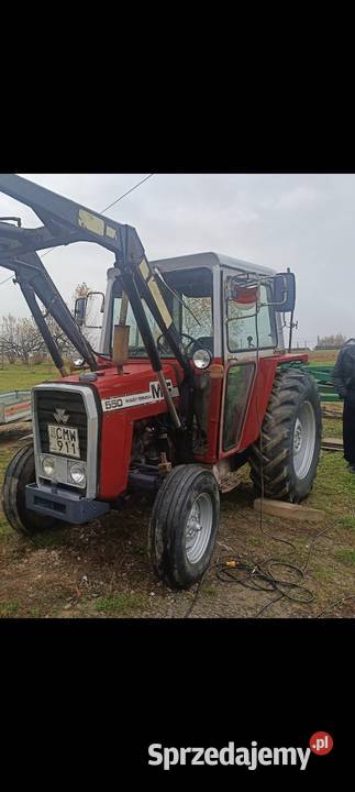 Mf550 Sędziszów Małopolski