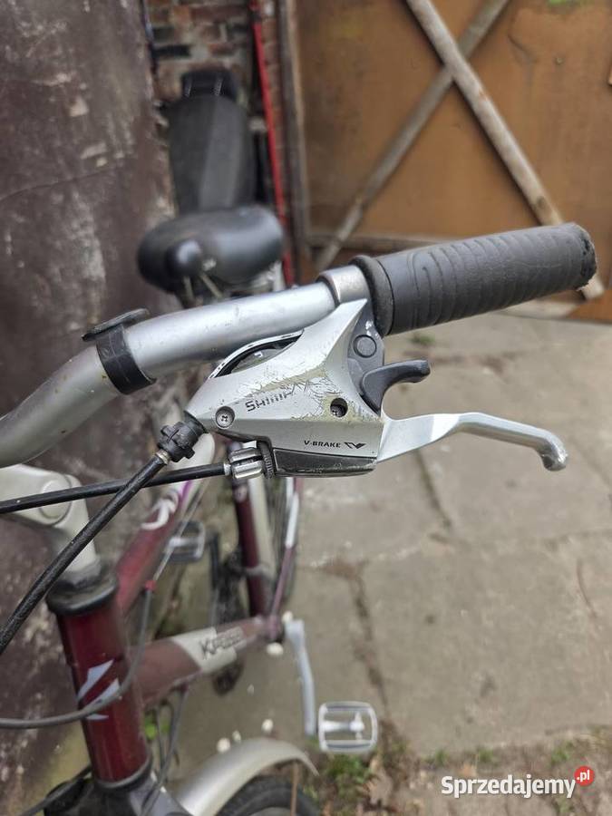 Męski rower trekkingowy KROSS Zaborowice