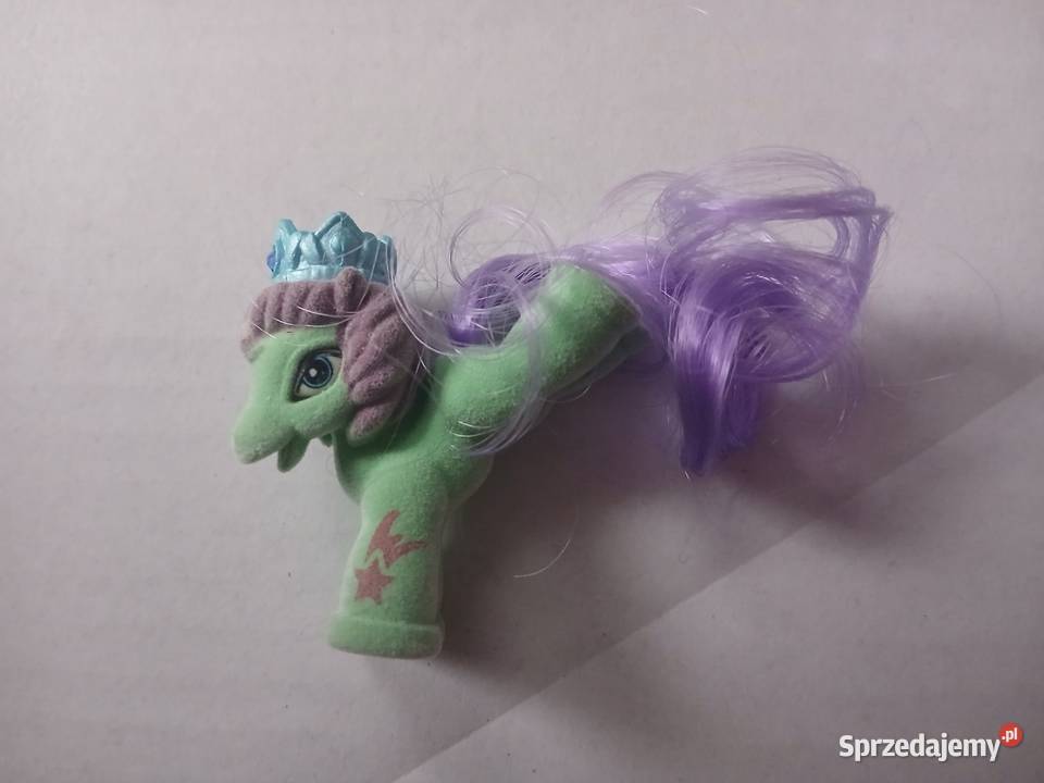 Kucyk Filly Royale Książe Glory Chrzanów