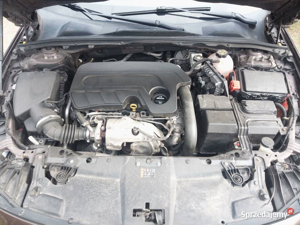 Sprzedam opla insignie 4/5