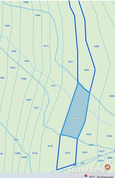 Działki leśne w Lipnicy Dolnej 6 hektarów utwardzona