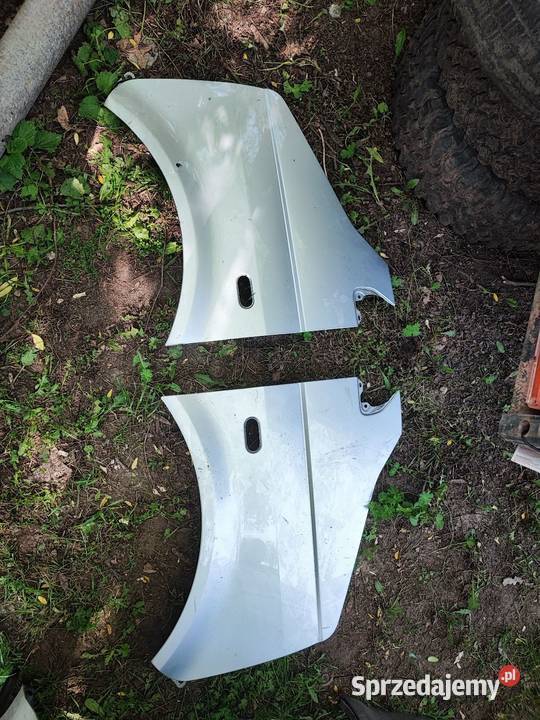 Drzwi błotnik zderzak tył silnik VW T5 Zielona Góra sprzedam