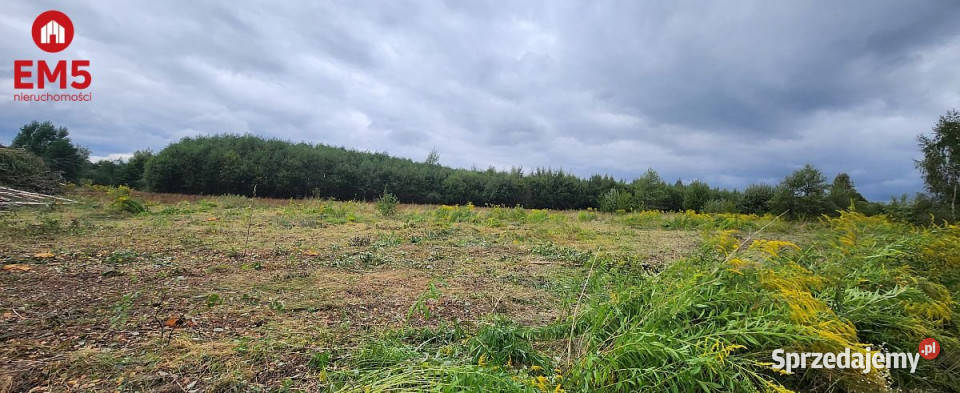 Działka Kolonia 3063 metry podlaskie sprzedam