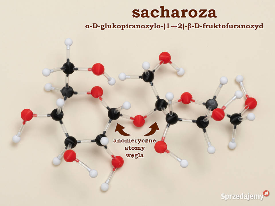 Modele atomów CHEMIA ORGANICZNA szkoła podst 200 Warszawa