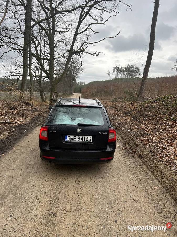 Skoda Octavia 4x4 manual 6bieg Łeba sprzedam