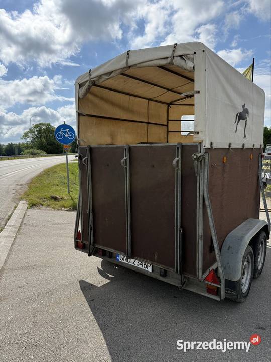 Boeckmann do koni przyczepa 1200 DMC 2 Motoryzacja Solnica sprzedam