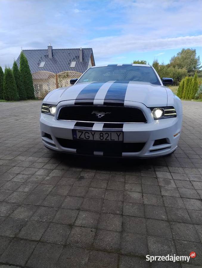Ford Mustang 2014r 37l Gryfice sprzedam