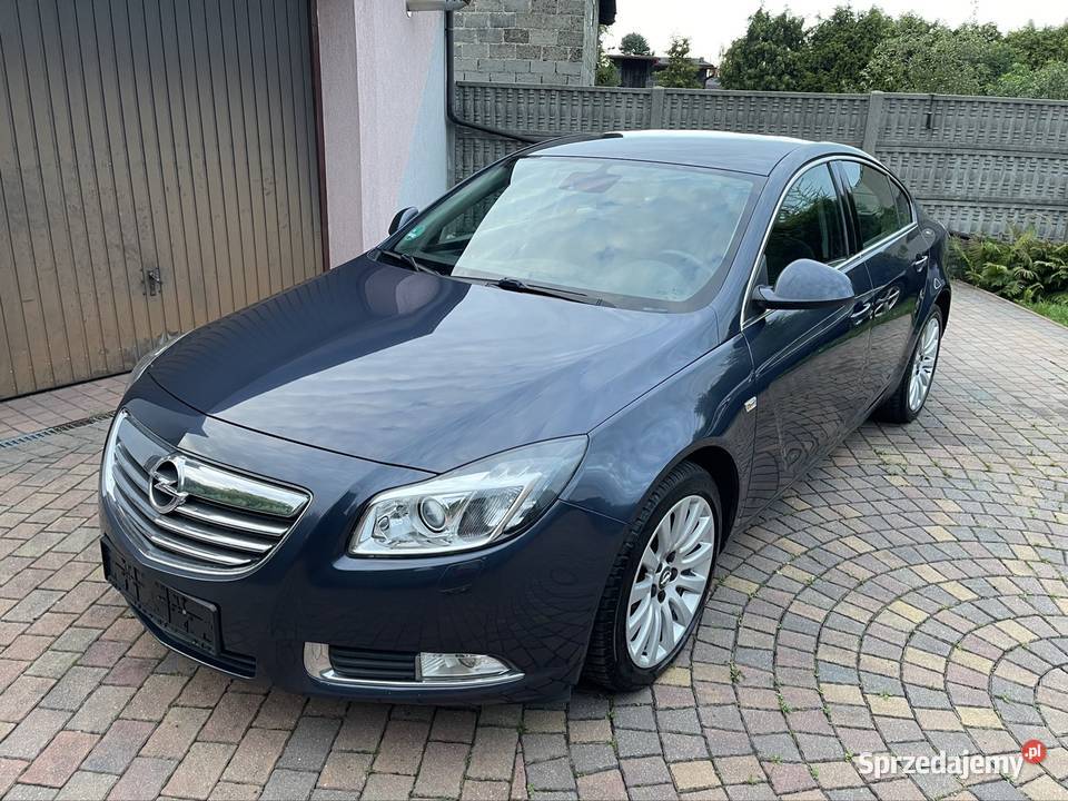Opel Insignia 20 Turbo 220 koni benzyna Klima Częstochowa