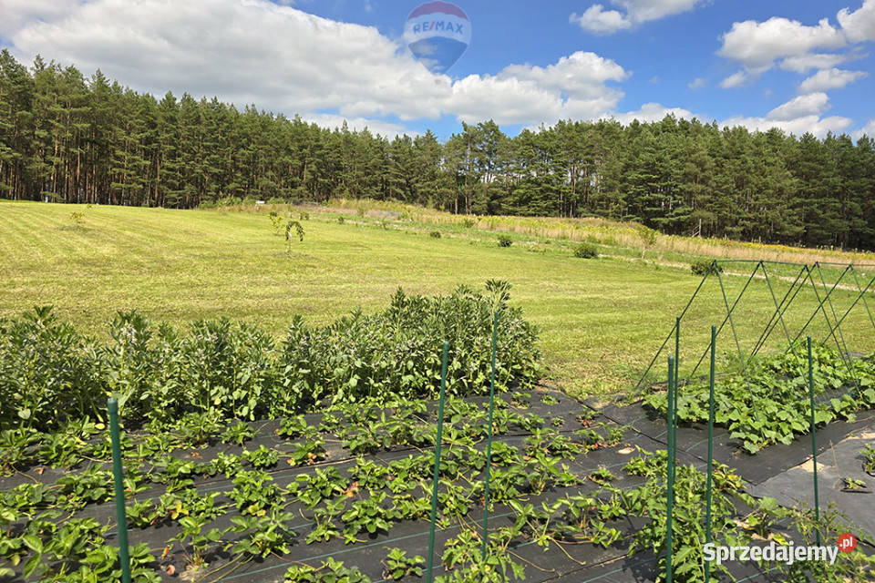 Bajeczna działka pod lasem z rozpoczętą budową Sudoł