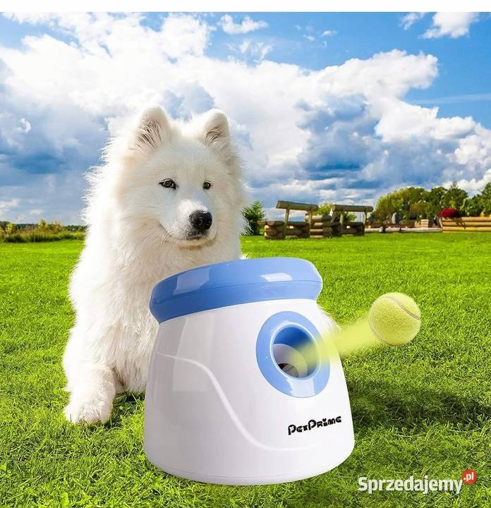 Automatyczna wyrzutnia piłek maszyna do rzucania Myszyniec sprzedam