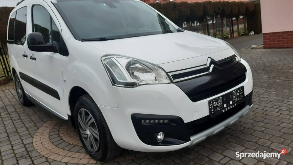 Citroen Berlingo Citron Berlingo Multispace Blue 4/5 Berlingo Bachowice