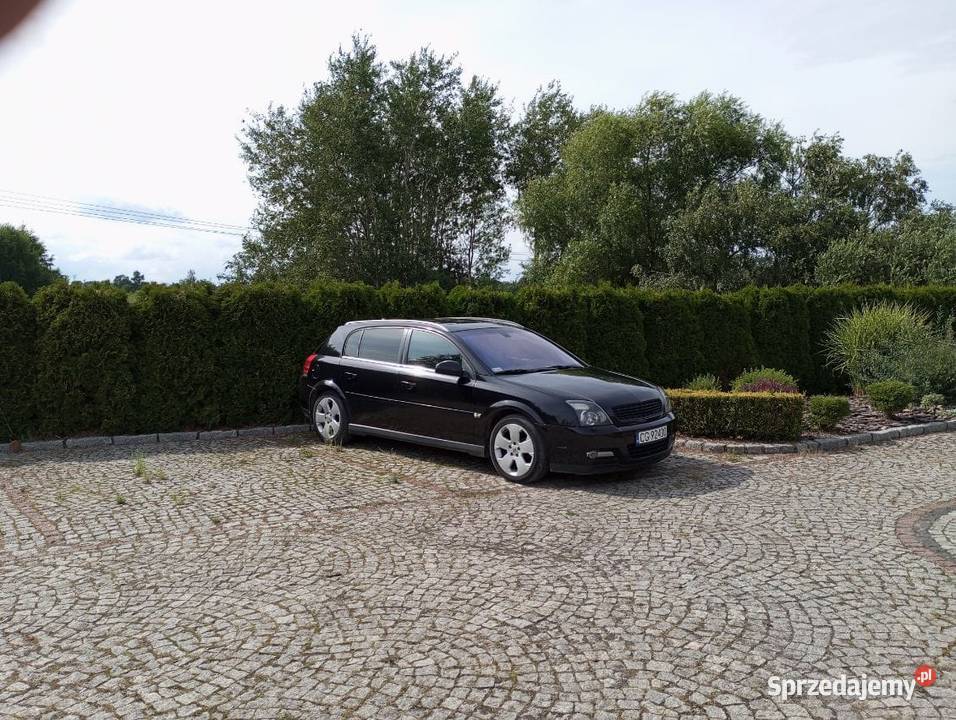 Signum 19 CDTI Z20R przejściówka na części Trąbki Wielkie