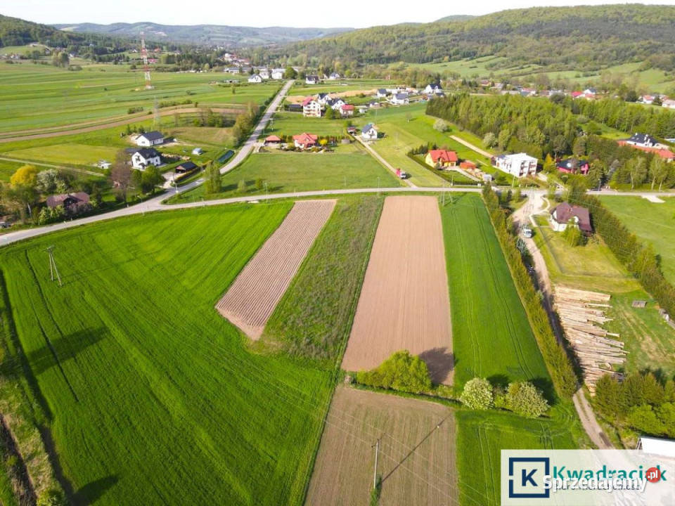 Działka Srogów Górny 2790m2 podkarpackie