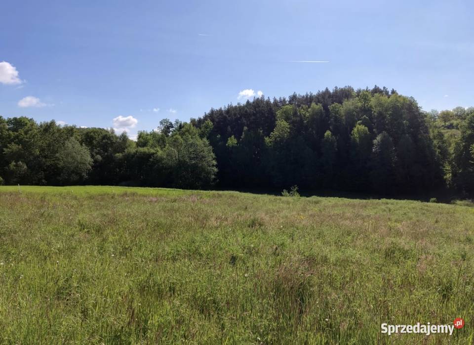 Działka budowlana Dąbie gmina Raciechowice asfalt Sprzedaż