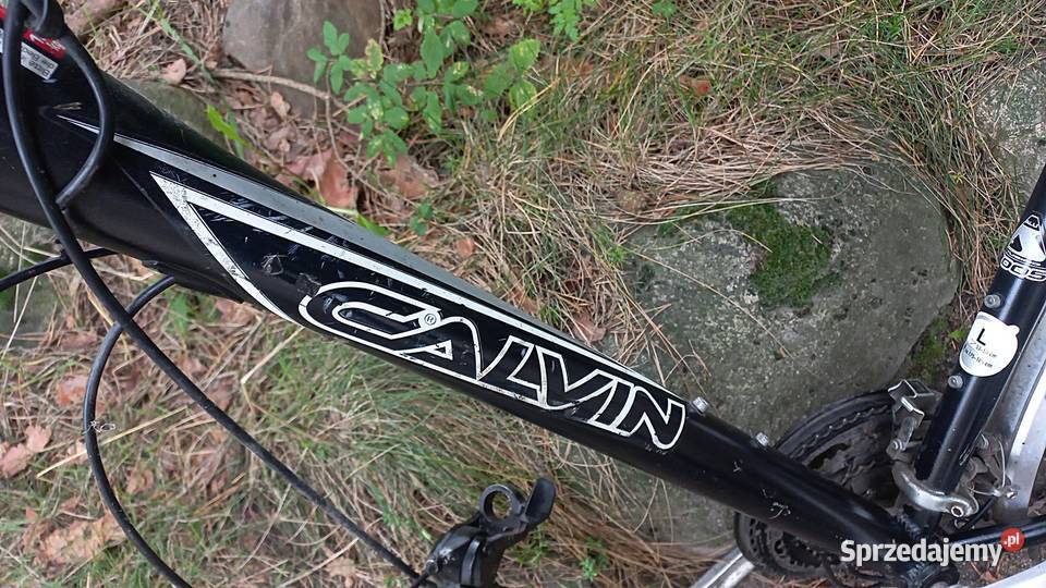 Rama Rowerowa Rower Męski Calvin CA605 Alu 7005 Wołów