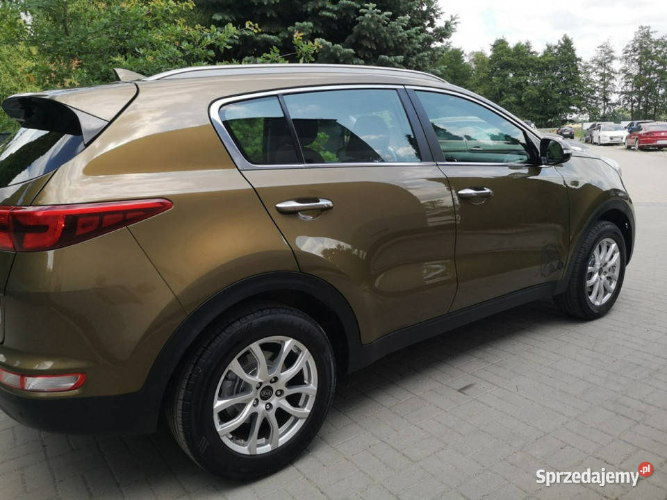Kia Sportage 16 GDI 132 Klimat Tempo Ledy Navi relingi dachowe Strzegom