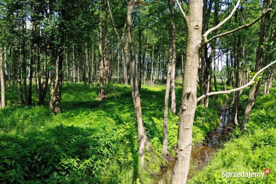 Działka Budowlana 2324 m2 Bieganów gm Jaktorów mazowieckie
