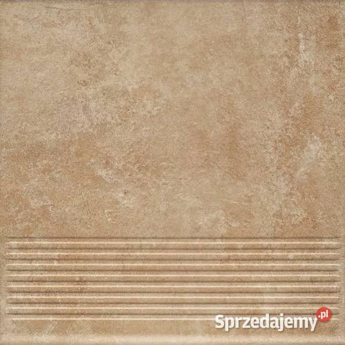 Płytka Mrozoodporna Ilario Super Promocja m2 Puławy