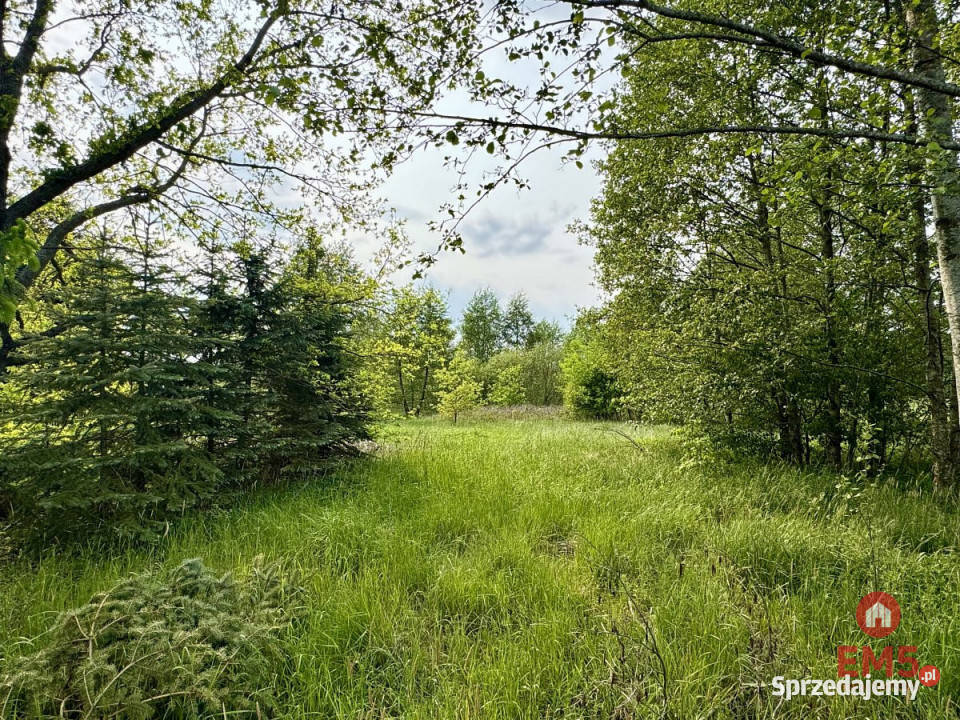 sprzedaży gruntu 2900m2 Kosmaty Borek telefon sprzedam