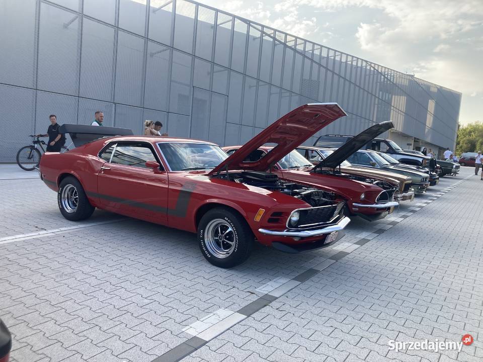 1970 Mustang Boss 302 Kraków sprzedam