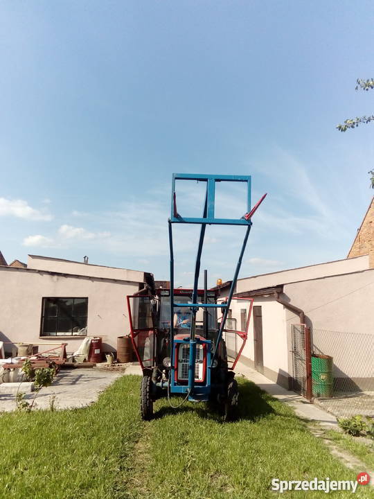 Tur czołowy Gościejew