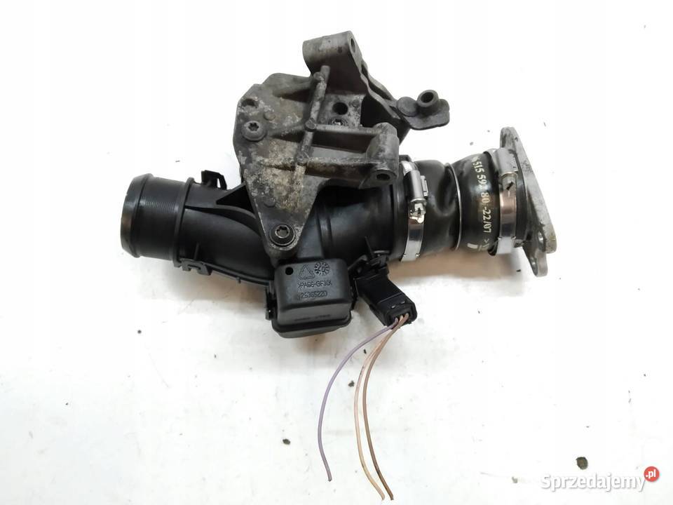 PRZEPUSTNICA 9660030480 16 HDI Peugeot 307 I