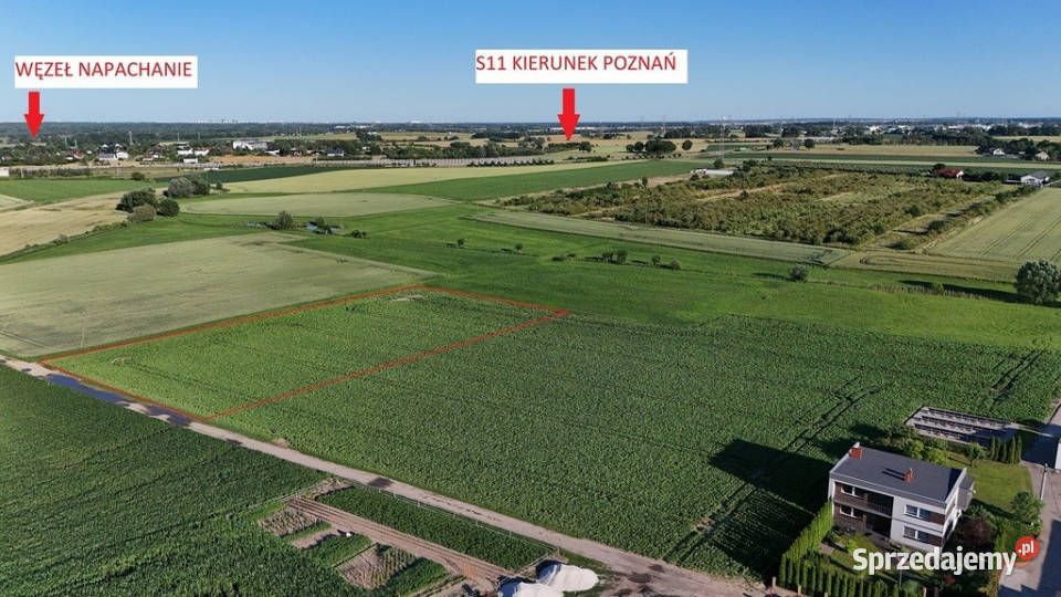 PROJEKT DEWELOPERSKI4 lokale KobylnikiRokietnica 5906m2 Rokietnica