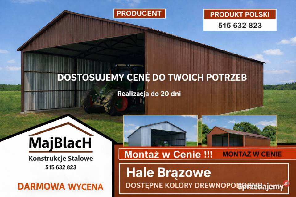 Garaż Blaszany OCYNKOWANY Konstrukcja Stalowa Szamotuły
