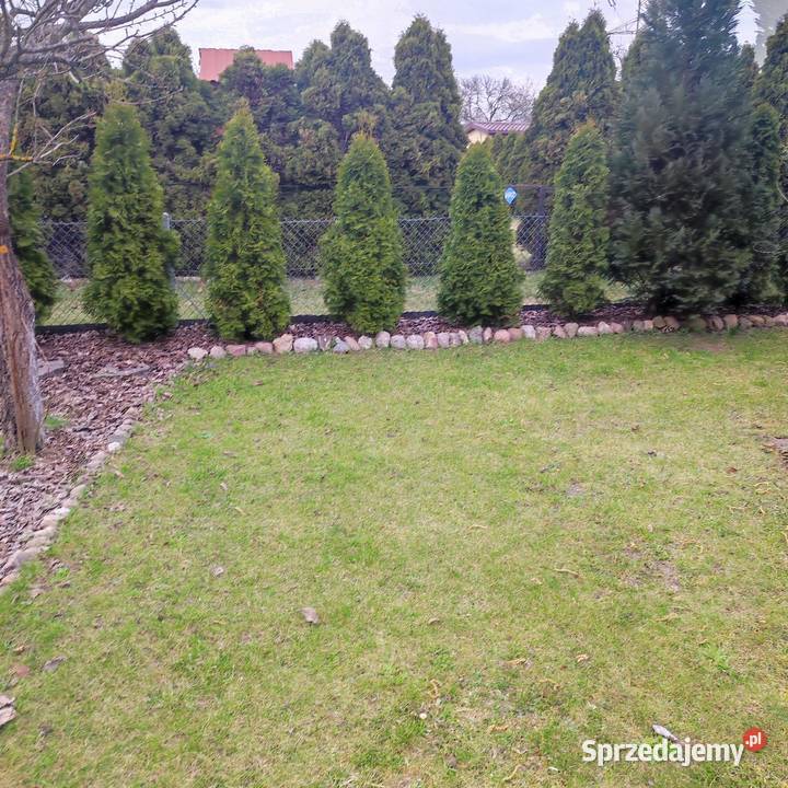 Działka ROD rekreacyjna Sprzedaż Bełchatów sprzedam