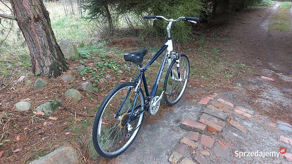 Alu Rower Miejski Cross Diamondback Edgewood 3x7 Wołów