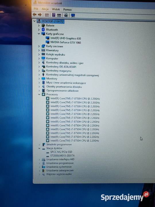 MSi Gs73 Gamingowy laptop podkarpackie Wielkie Oczy