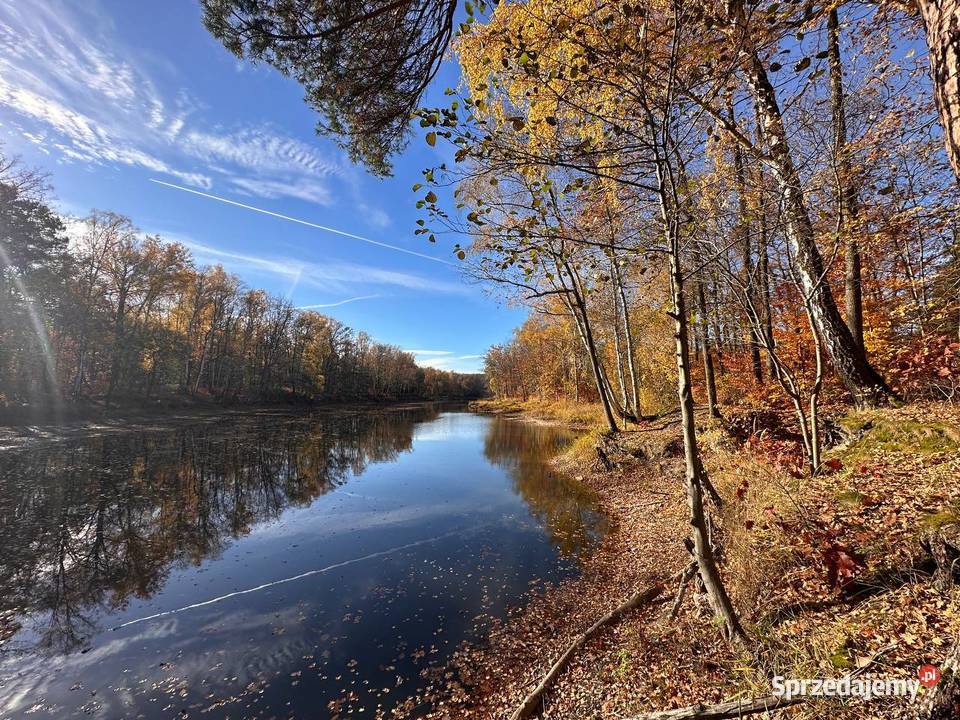 Działka budowlana kolorowe jeziorka lubuskie