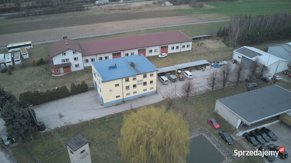 sprzedaży lokalu Jędrzejów 450m2