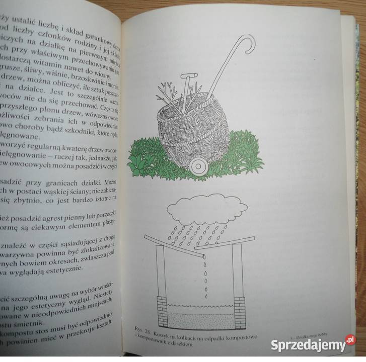 DZIAŁKA projektowanie urządzanie warzywa kwiaty