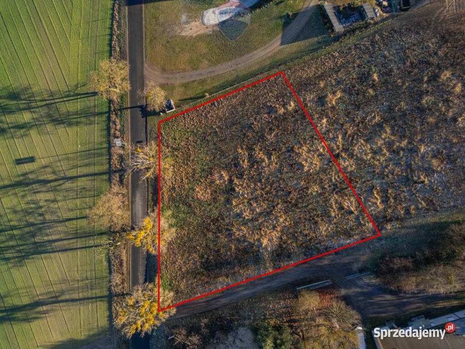 Działka budowlana 20 min Poznania A2 Buk Brzoza