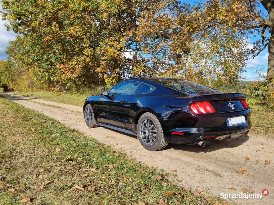 Ford Mustang V6 305 Drawsko Pomorskie