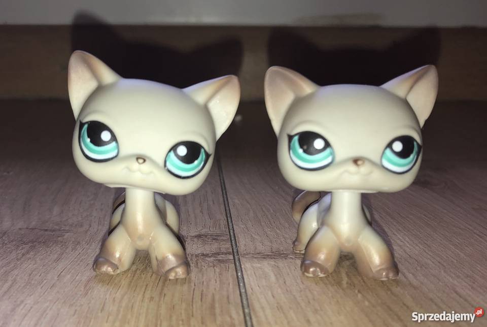 Littlest pet shop Słupsk sprzedam