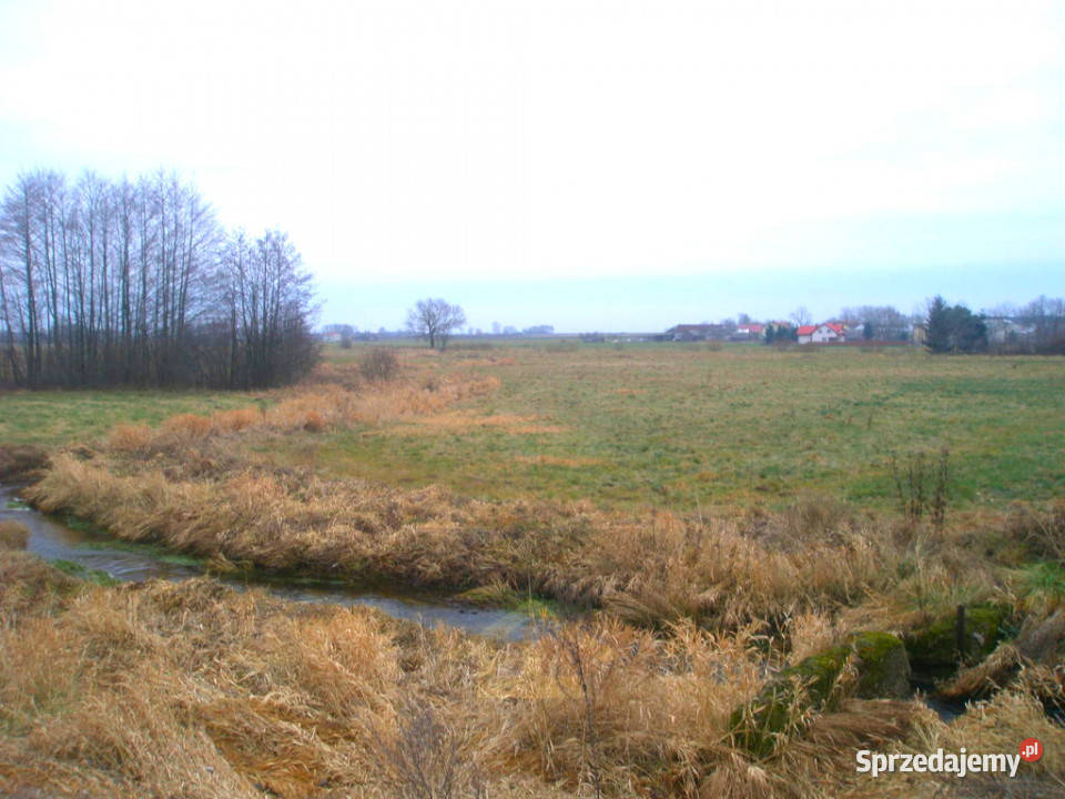 Działka budowlana w Kózkach Kózki