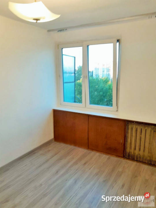 wynajmu mieszkania Łódź Rojna 383 metry Wynajem